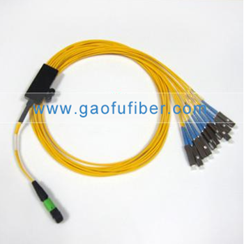 1X10 MPO-MU SM Fiber Optic Assembly